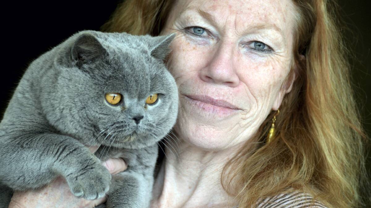 Maureen Norberry, of NSW, gives Sumo the British shorthair show champion  a cuddle at the Launceston Show.  Pictures: GEOFF ROBSON