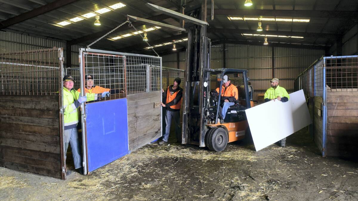 Tony Shea, Michael Dent, Brian Poole, site supervisor Greg Wilcox in the forklift, and Cameron Wilcox put the stables together in preparation for the Royal Launceston Show. Picture: PAUL SCAMBLER