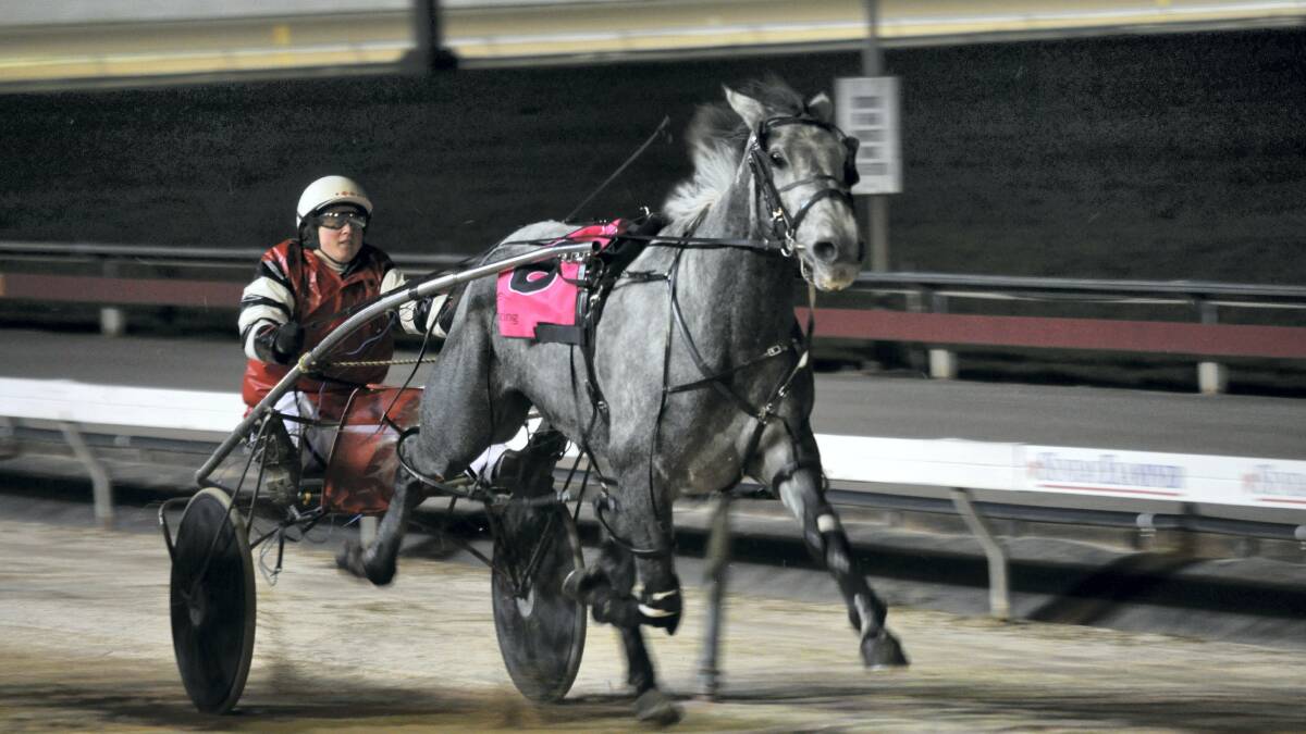 Matthew Howlett, driving Kinda Grey, on his way to victory in the third heat of the Youngbloods Challenge at Devonport last night.
