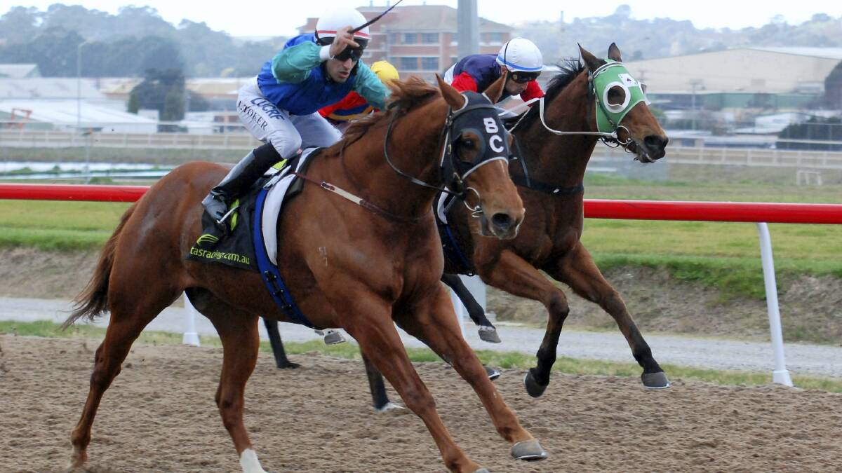 Innocent Gamble, ridden by Ismail Toker, wins the $25,000 Tapeta Sprint final at Spreyton yesterday. Picture: TASRACING