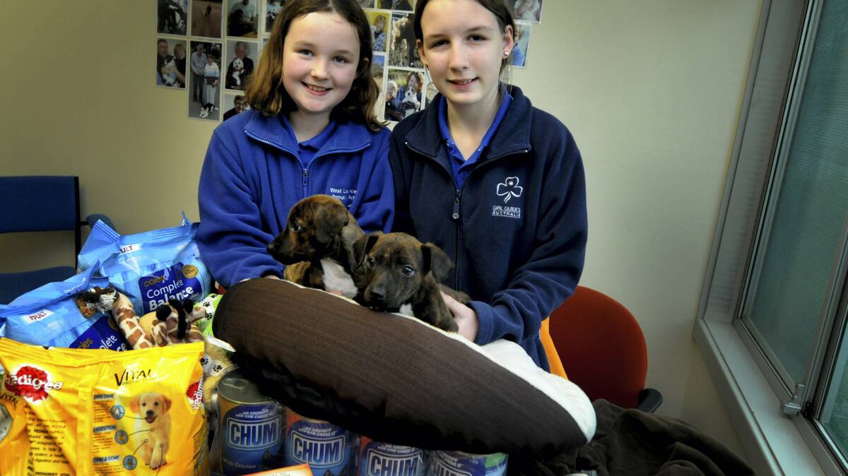 Melissa McQueen, 10, and Portia Cottingham, 12, both of Launceston, the goods they have donated ... and two residents of the RSPCA animal shelter. Picture: GEOFF ROBSON