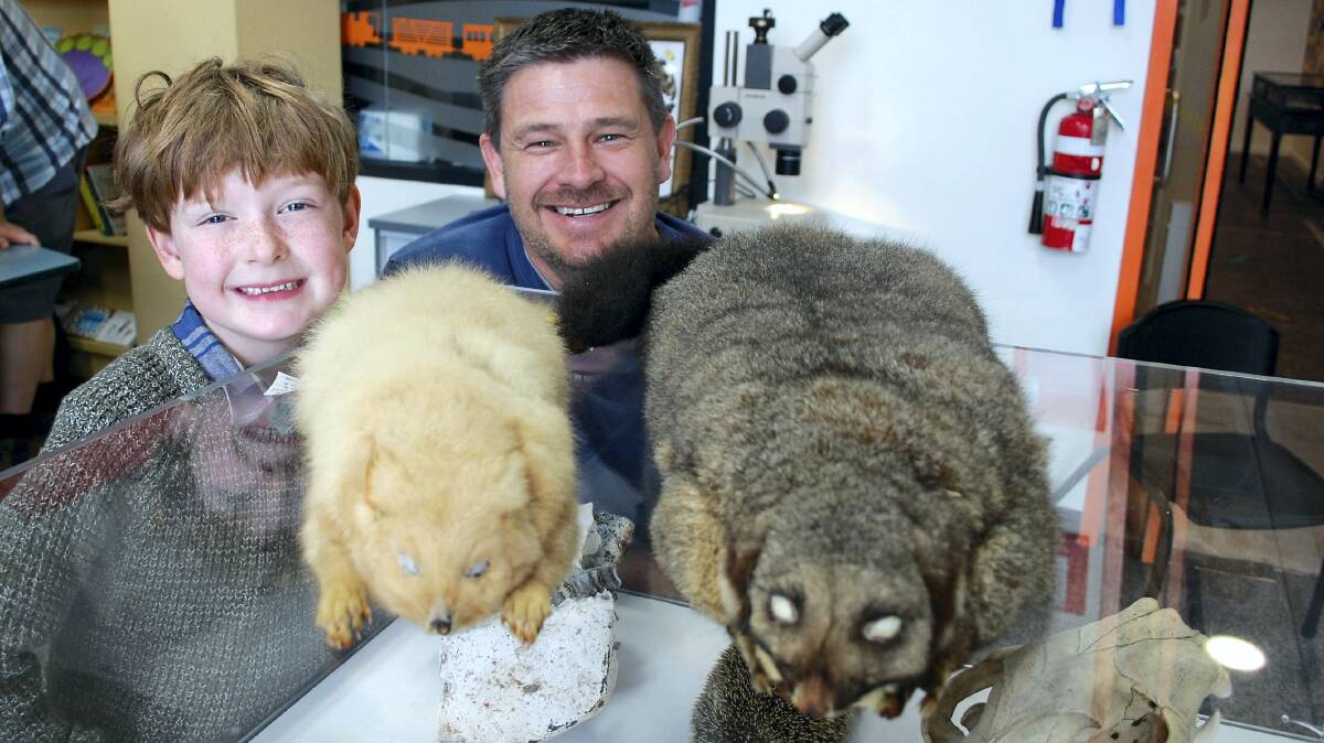 George Maxwell, 7, of East Launceston, and natural sciences curator David Maynard at the QVMAG Mini Museums Day at Inveresk with specimens including brushtail possums.
