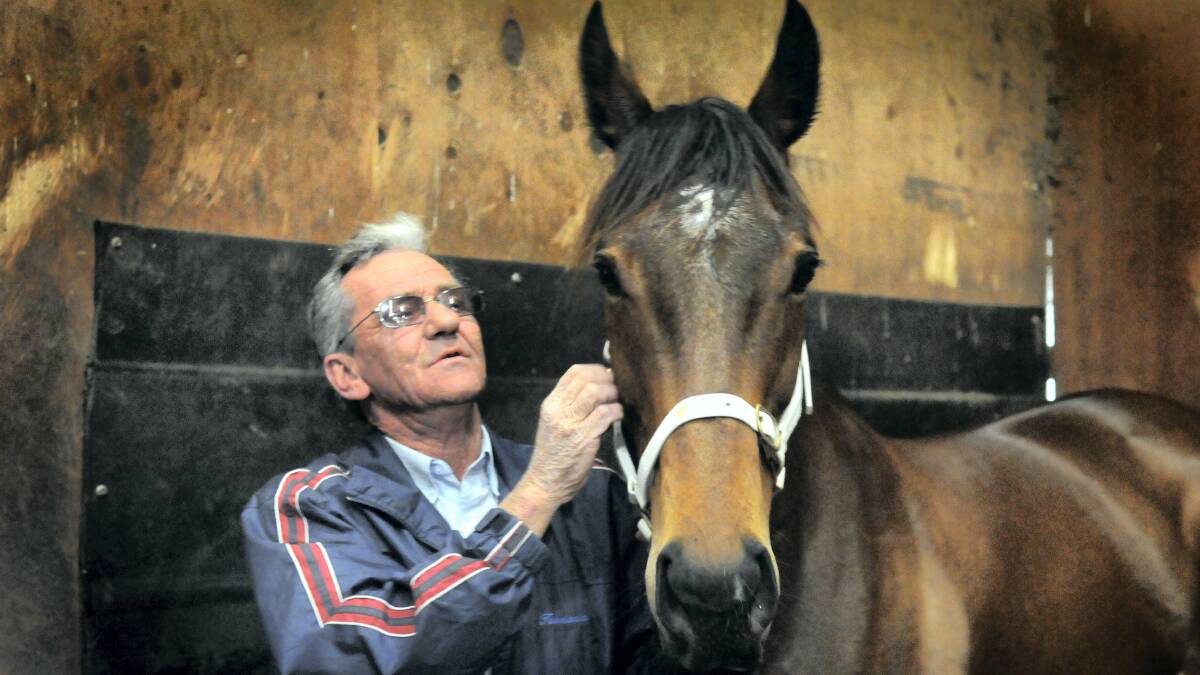 Longford-based trainer Mick Burles and The Cleaner set off for the Cox Plate at Moonee Valley tomorrow. Picture: PAUL SCAMBLER