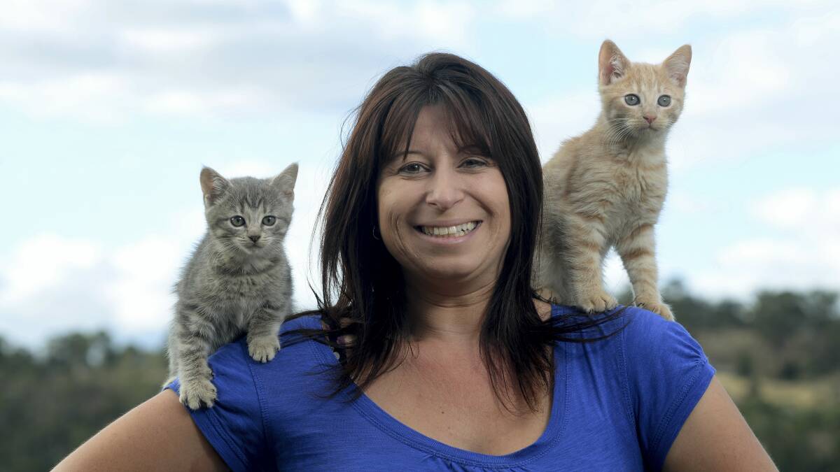 Rachel Beech, of Just Cats Tasmania, with two British cross cats. Picture: Mark Jesser