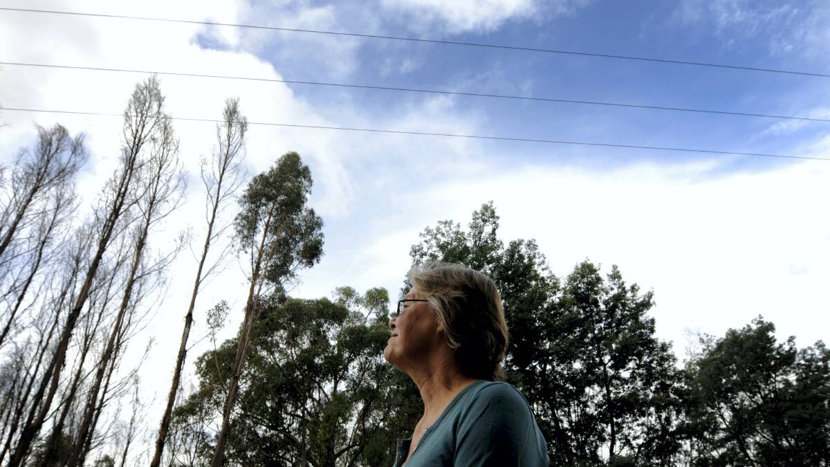 Holwell resident Anne Johnston is worried about power lines too close to a tree plantation. Picture: GEOFF ROBSON
