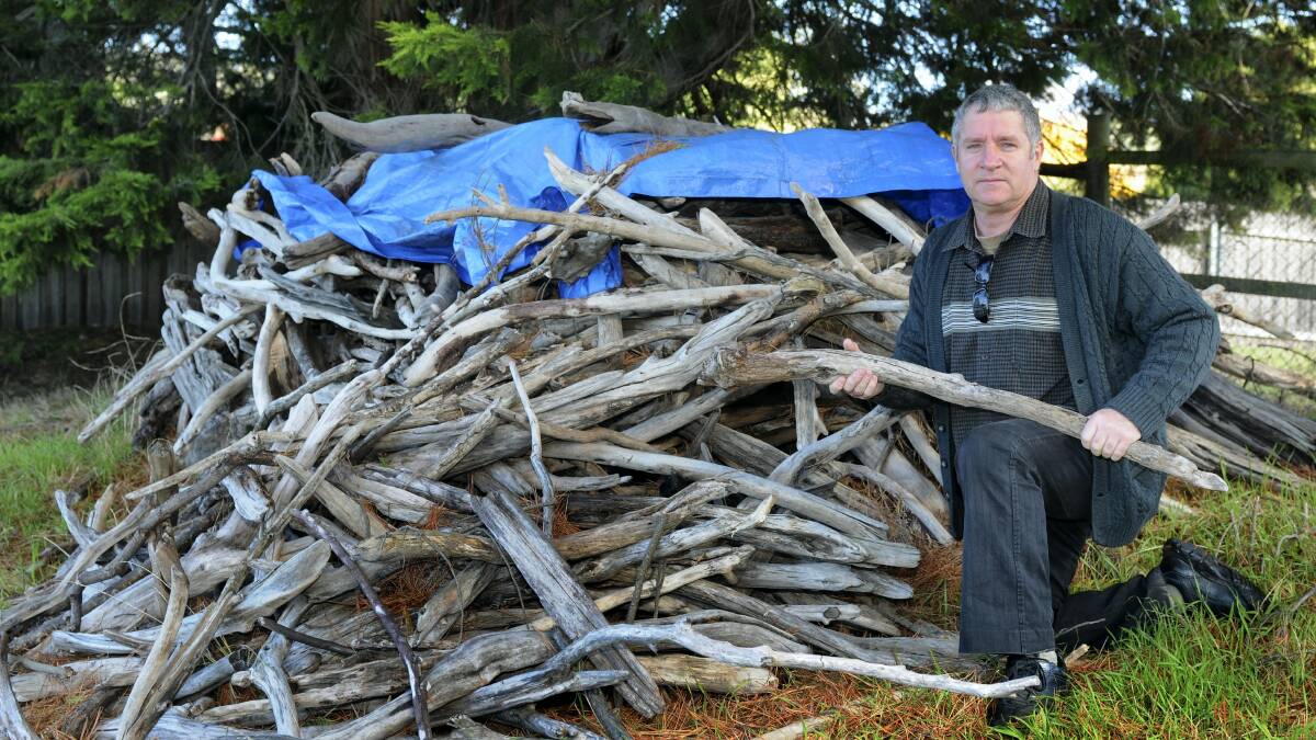 Artist Ralf Haertel at Riverside with the driftwood pile looking for a new home. Picture: PAUL SCAMBLER