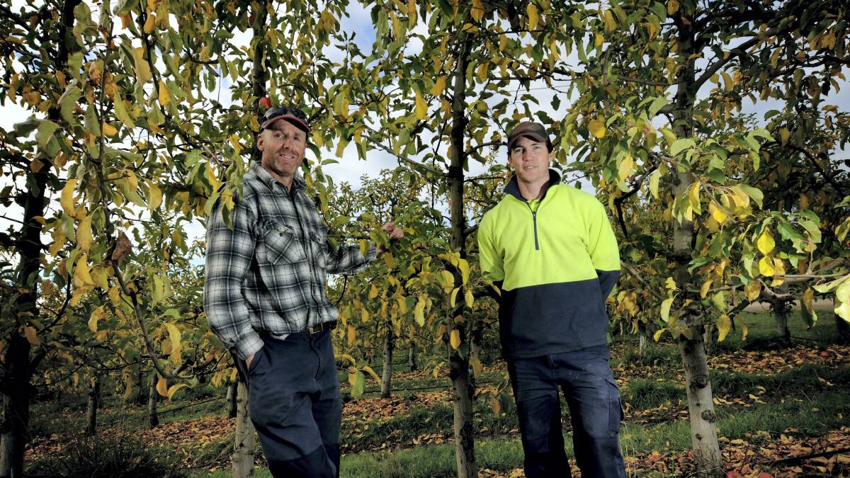 TopQual Calthorpe orchard manager Brad Ashlin and packing shed manager Steven Bowden. Picture: GEOFF ROBSON