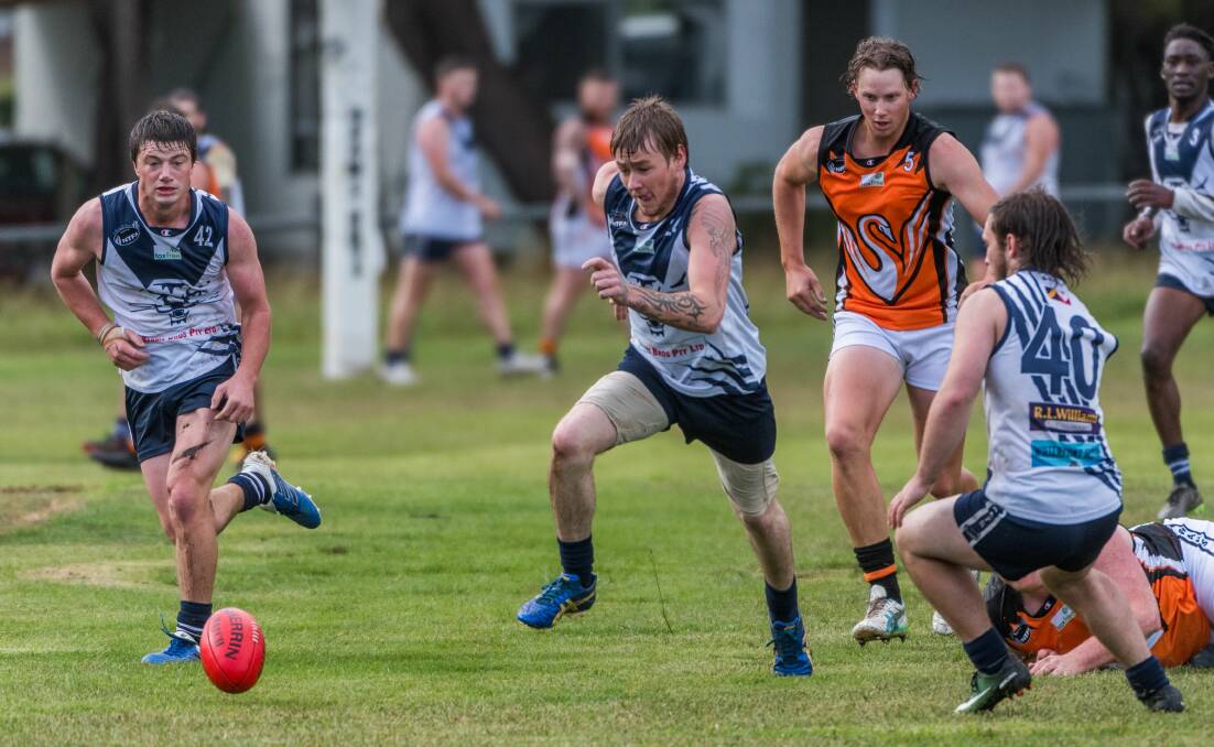 Cats' eyes: Tamar Cats players Aaron Dusautoy, Harry Adams and Adrian Leary in action against East Coast Swans at Beauty Point last season.Picture: Phillip Biggs