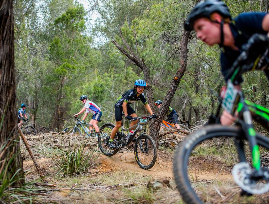 Riverside's Oscar Purtell at the 2017 Tasmanian All Schools Mountain Bike Championships at Kate Reed.  Pictures: Scott Gelston. 