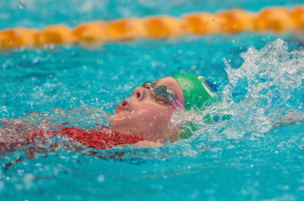 Backing up: Ella Webber, of Launceston Aquatic Club, during the girls' 12 year old 50-metre backstroke at the state sprint and relay championships in Launceston on Sunday. Picture: Phillip Biggs