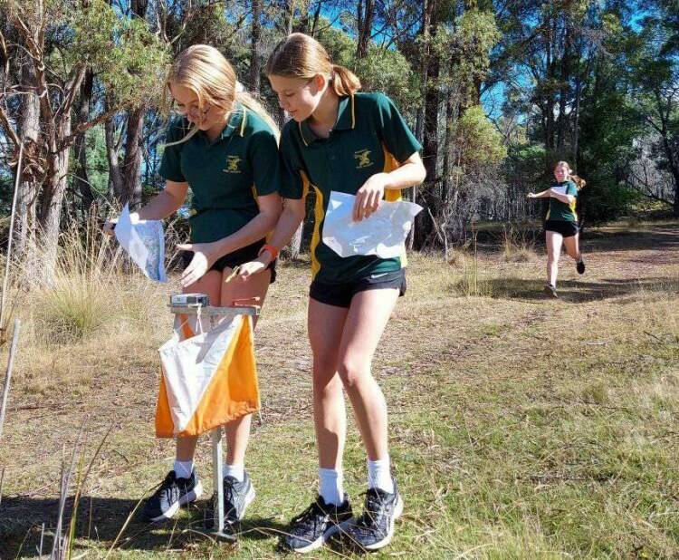 Competitors at the Northern championships. Picture: Orienteering Tasmania