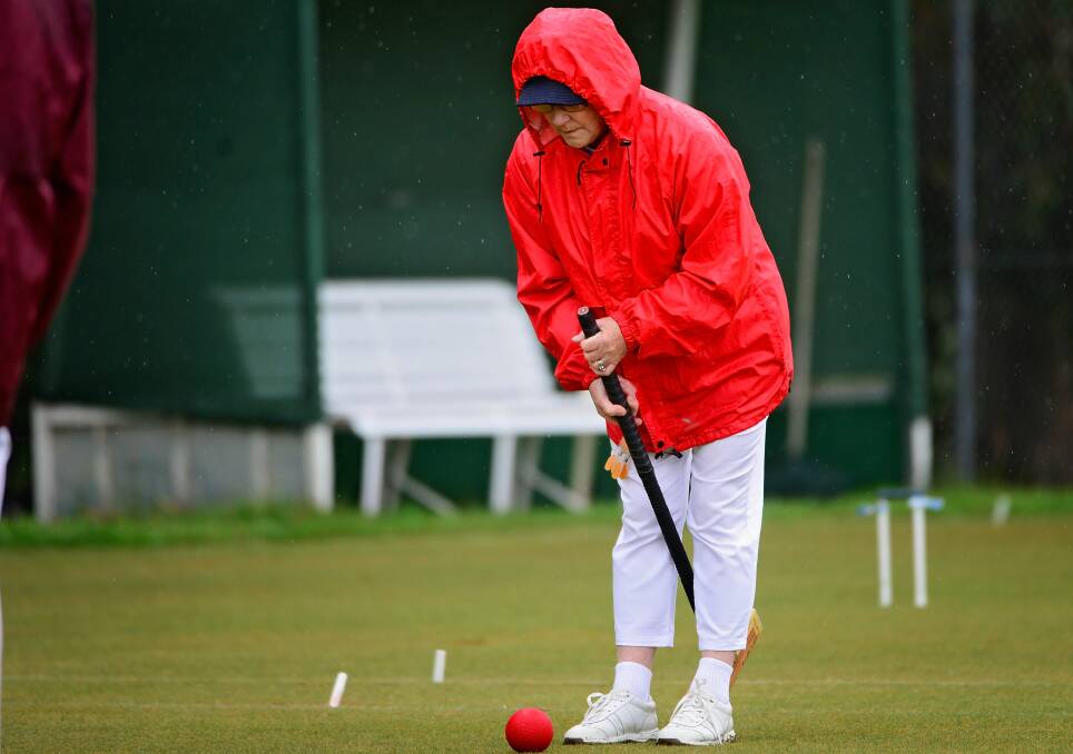 Focused: Kaye Jeffery, of St Leonards Croquet Club, fires away during the Northern Tasmanian Open Golf Croquet Championships.