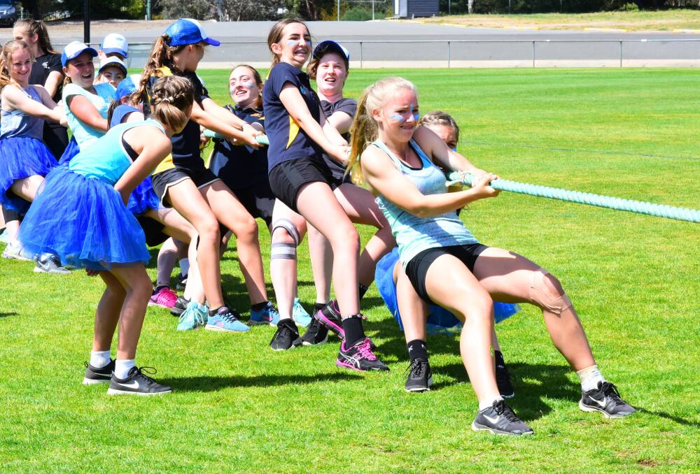 Pull over: Olivia Moser-Pedley leads her team in the tug of war competition.