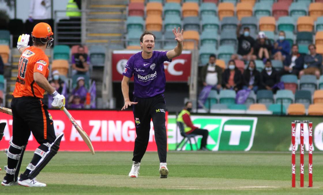 UNCROWDED HOUSE: Empty seats abound as Joel Paris appeals for a wicket during the Hurricanes-Scorchers BBL match in Hobart last week. Picture: Rick Smith
