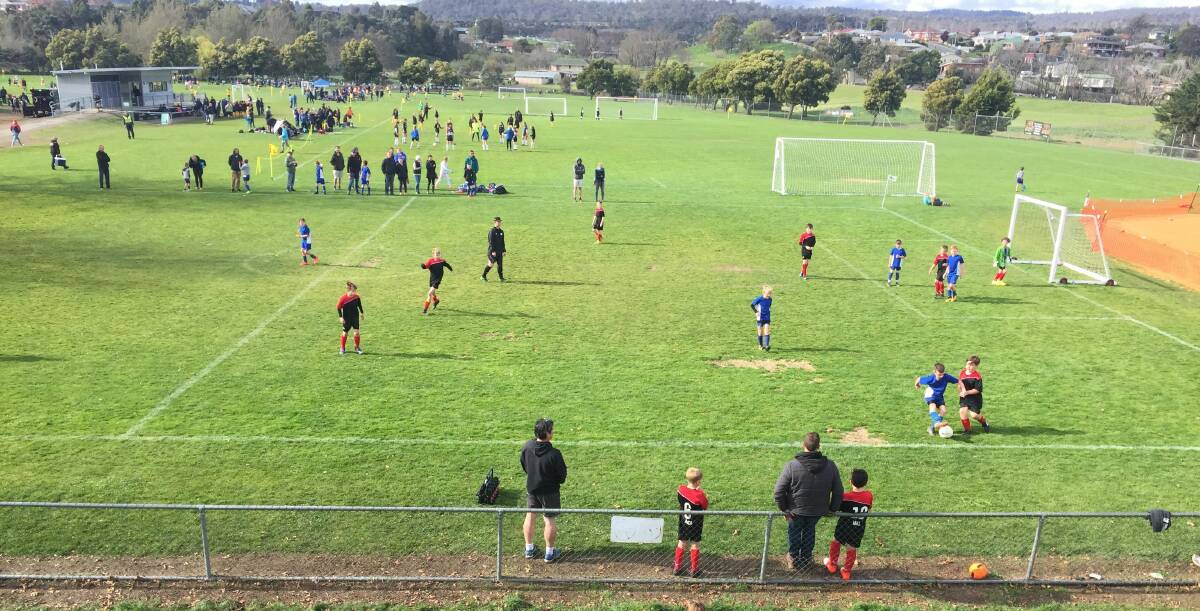Lined up: Junior soccer participation is thriving across Tasmania, not least at the state's largest venue, Launceston's Churchill Park. Picture: Rob Shaw