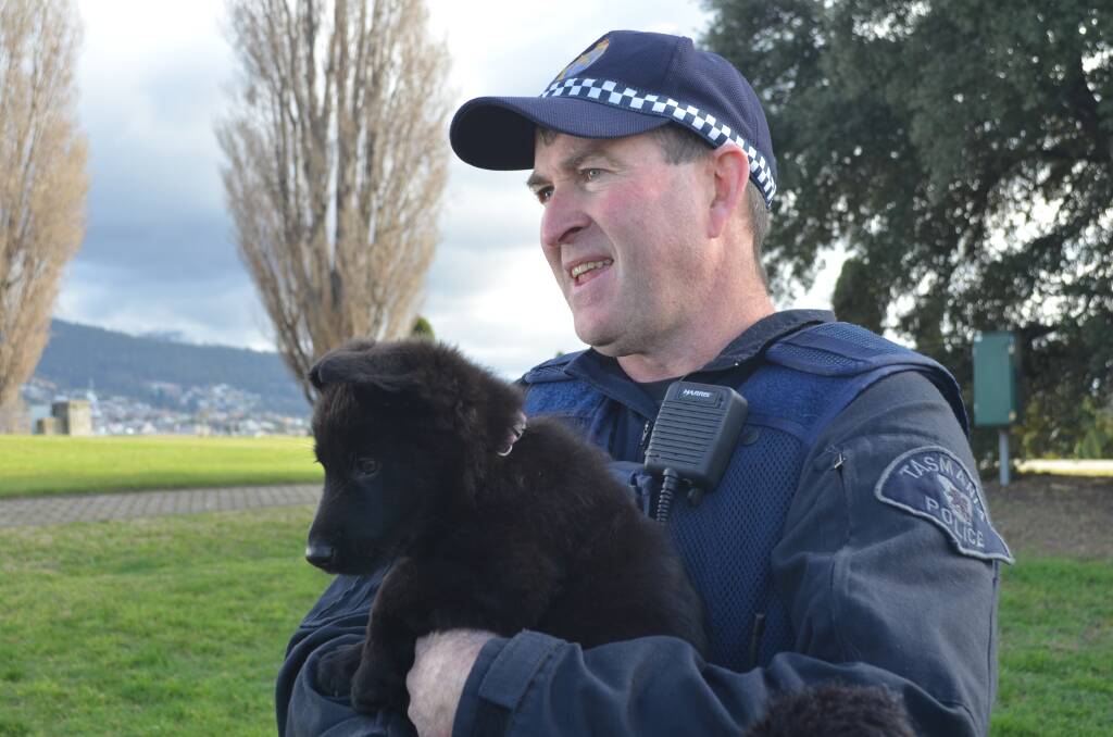 Sergeant Iain Shepherd with an eight week old puppy from the latest litter at Garsova Kennels. Picture: Emily Jarvie 