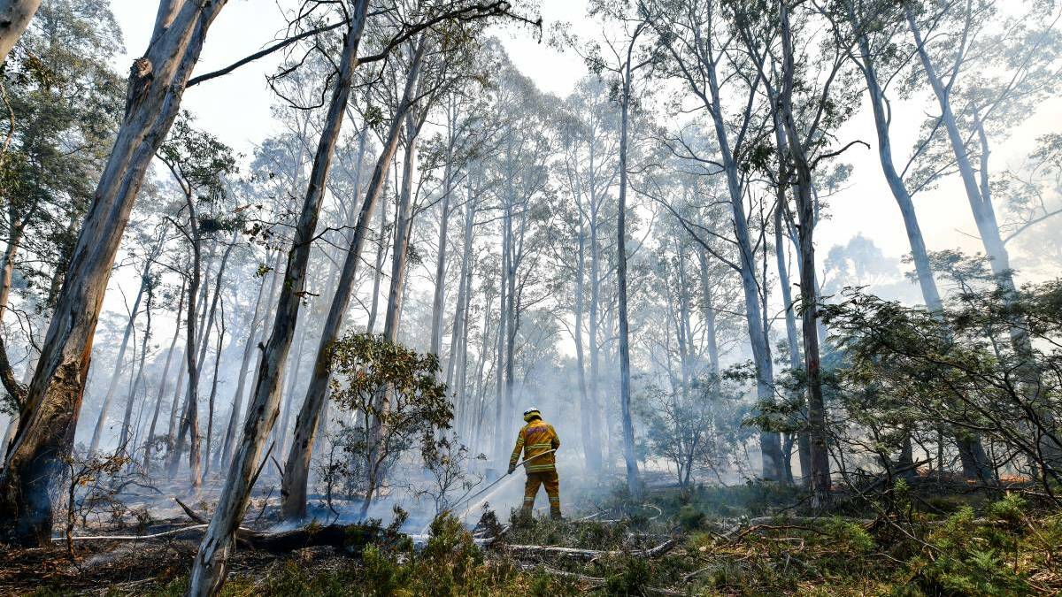Bushfire impacted small businesses eligible for recovery grants