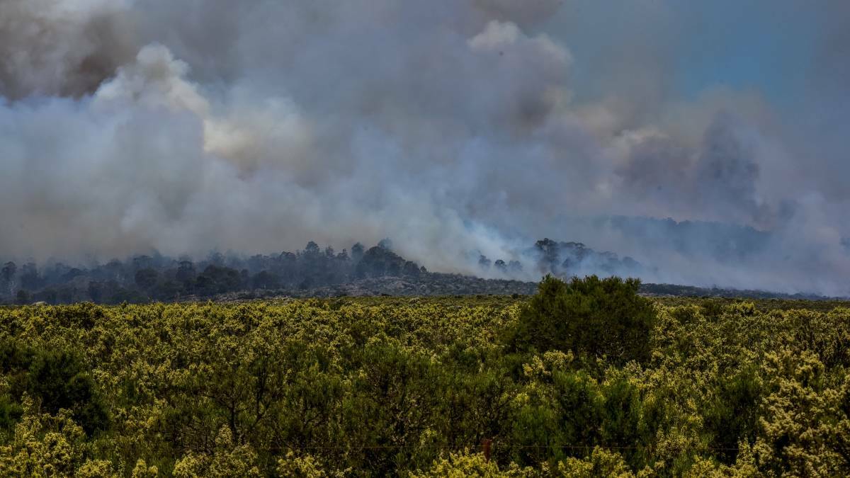 WHERE THERE'S SMOKE: Fire burns in the Central Plateau. Picture: Neil Richardson.