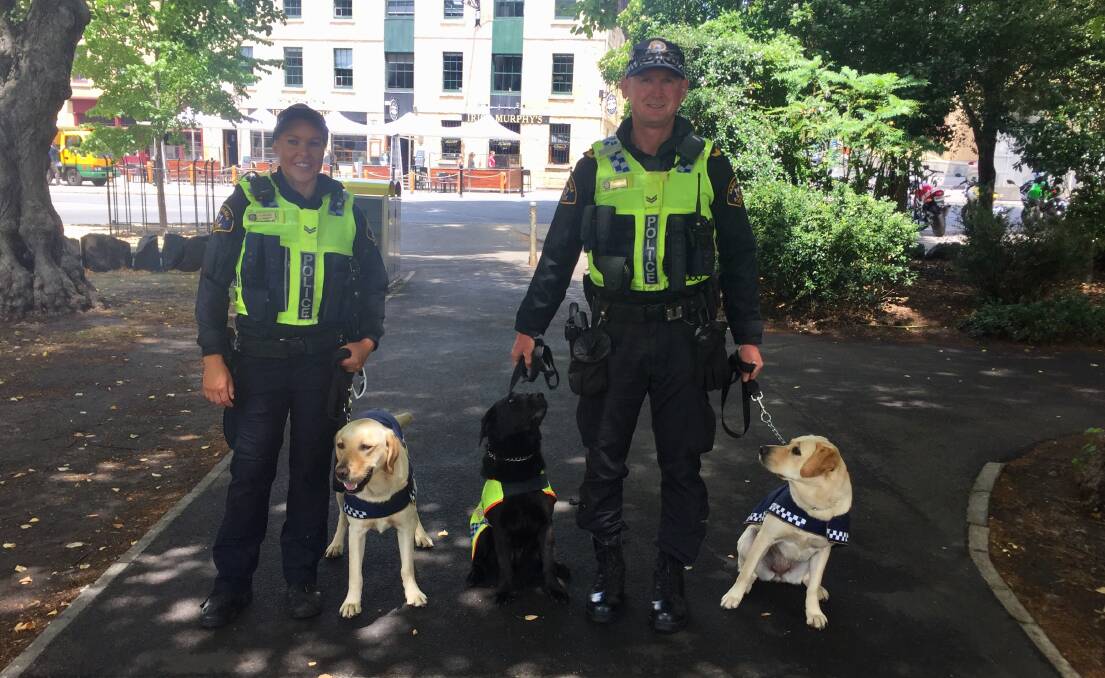 RECRUITS: Constable Anne Marie Bennett with Olson, and Senior Constable Will Flynn with Cassie and Quinn. Picture: Emily Jarvie. 