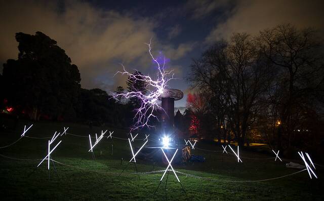 I'll see you in the trees on Dark Path by Angelo Badalamenti + David Lynch. Picture: Dark Mofo 