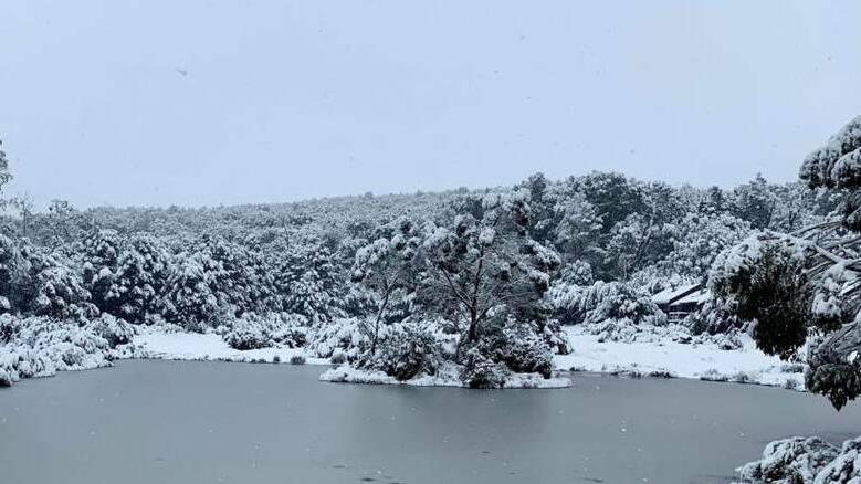 Snow fell at Cradle Mountain last weekend. Picture: Cradle Mountain Lodge 