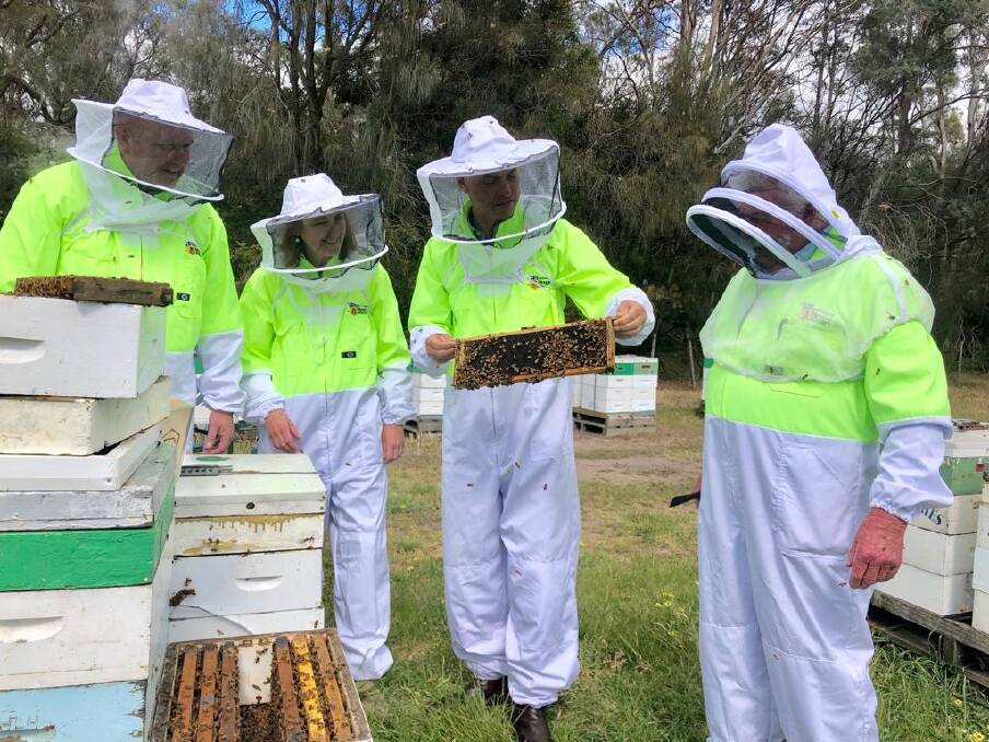 Sustainable Timbers Tasmania chief executive Steve Whiteley, Australian Honey Bee Industry Council chief executive Sarah Paradice, Primary Industries minister Guy Barnett and Tasmanian Beekeepers Association president Lindsay Bourke. Picture: supplied 
