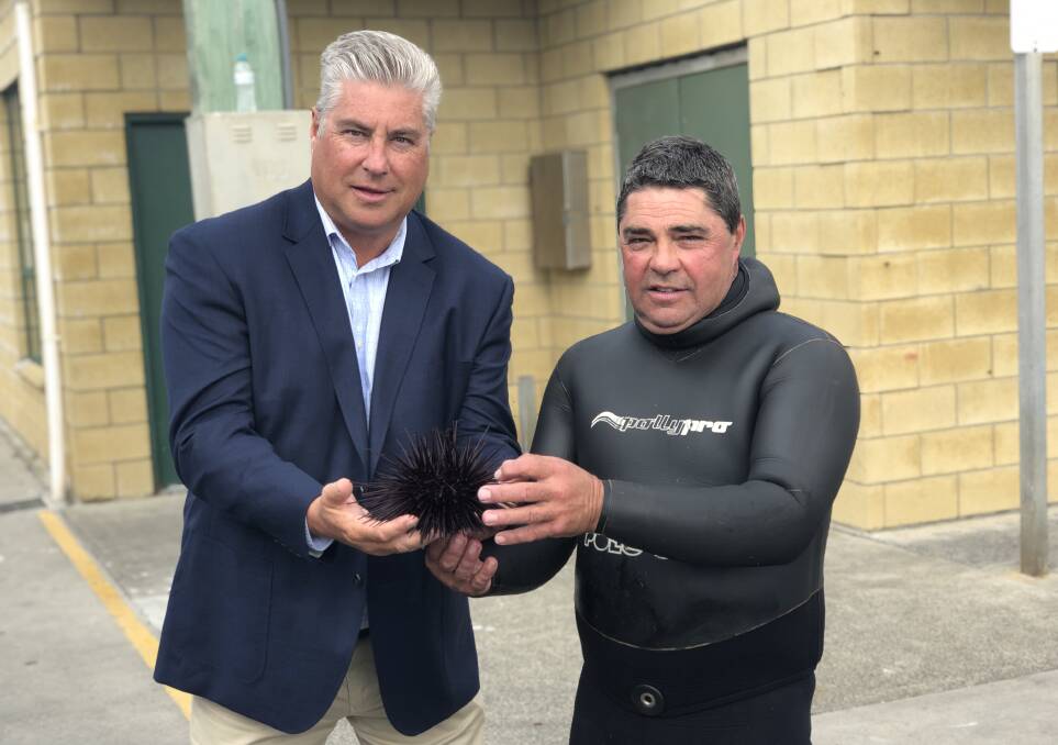 PEST: Tasmanian Abalone Council chief executive Dean Lisson and urchin diver Barry Bennett with a sea urchin. Picture: supplied. 
