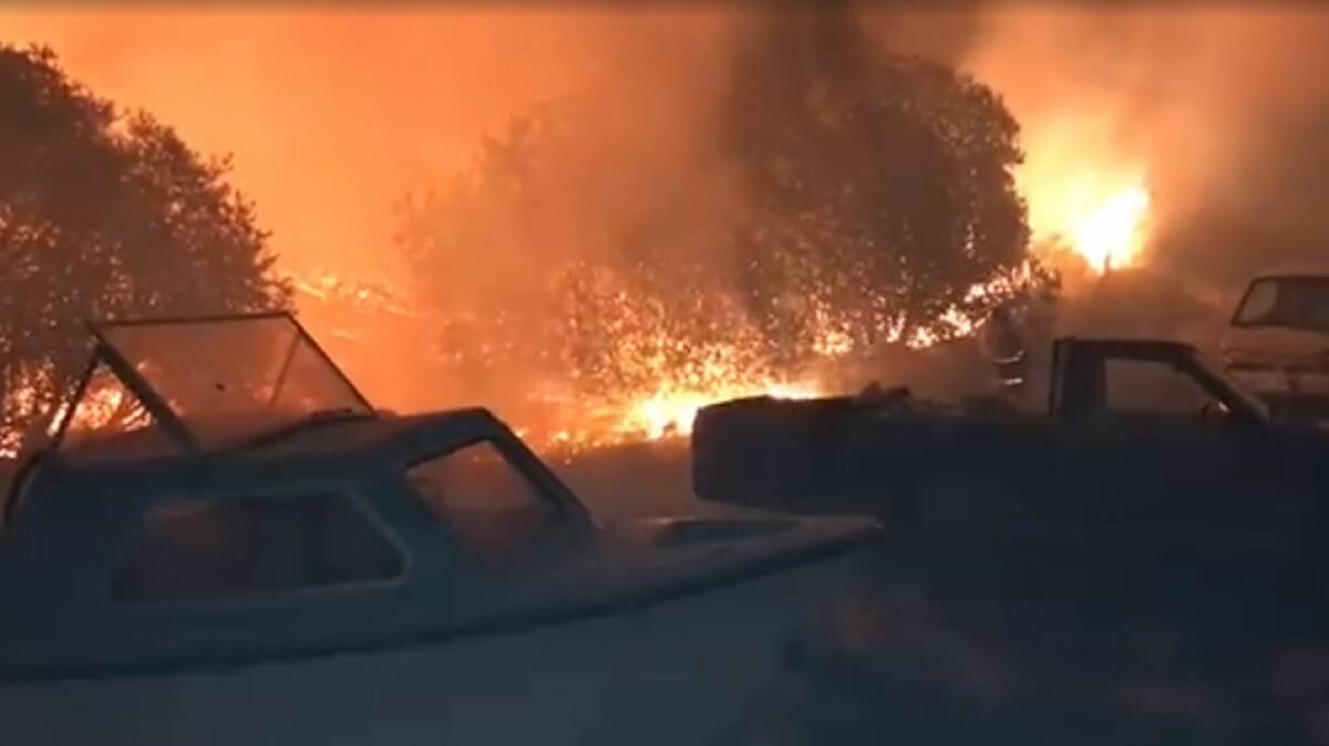 TFS battle blaze at Dolphin Sands. Picture: TFS video