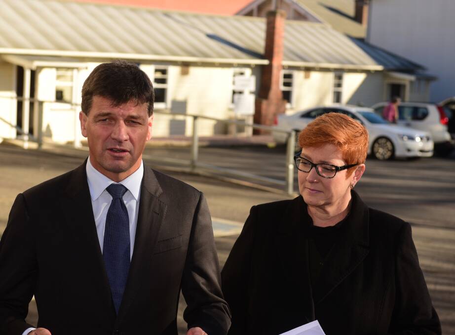 Assistant Minister for Cities Angus Taylor and Defence Minister Marise Payne.