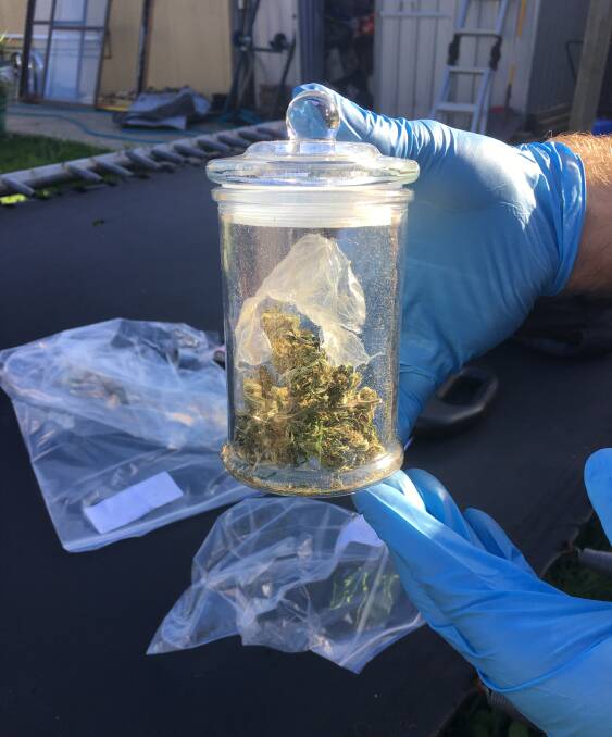 Cannabis seized at Devonport. Picture: Tasmania Police