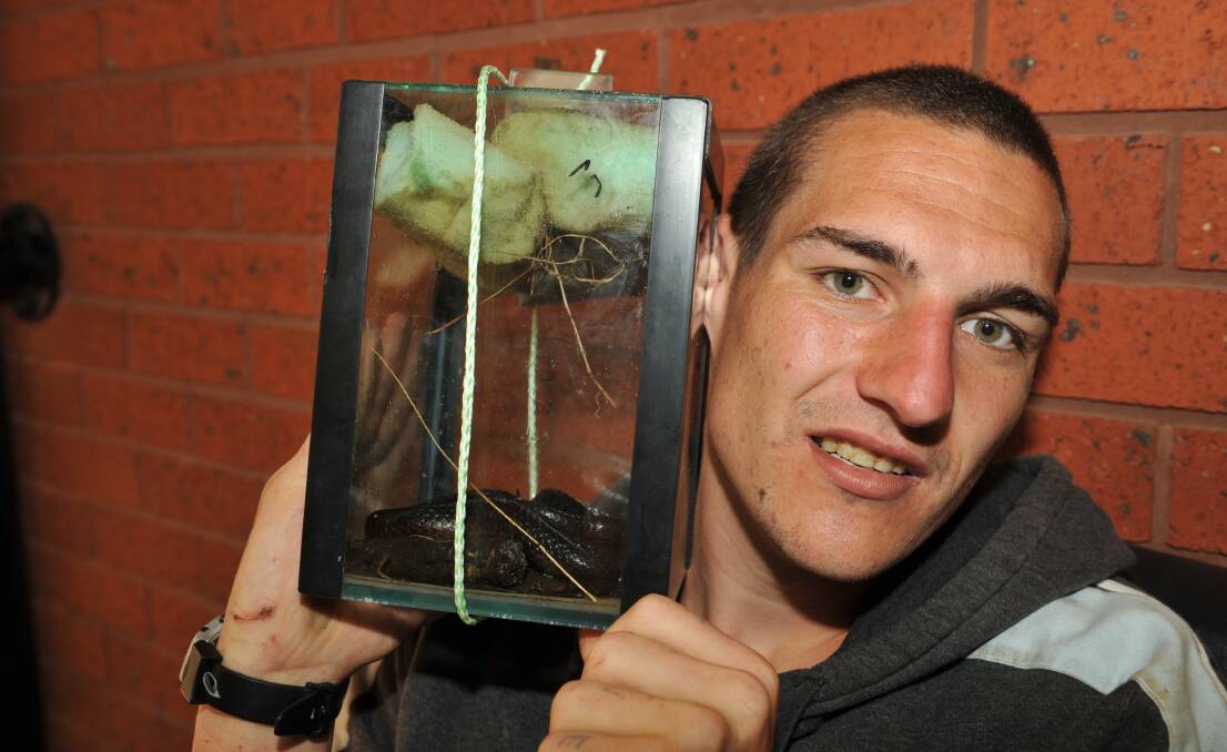 Marcus Mayne with a tiger snake in 2011. Picture: The Examiner