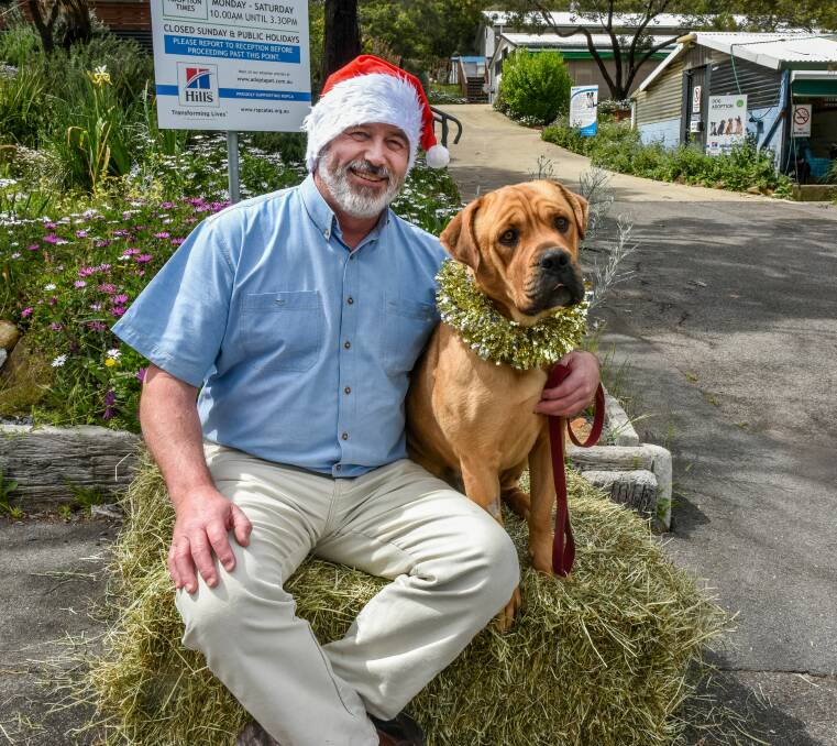 TOP: Dr Andrew Byrne with 2-year-old mastiff-cross Chas at RSPCA.