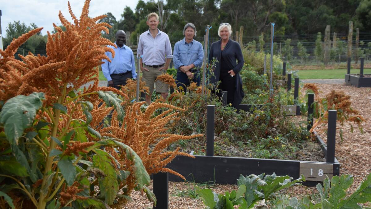 Alister Mackinnon, Charlotte Blank, John Ali and Roger Tyshing standing among the new garden beds at Heritage Forest Community Garden. Picture: SARAH AQUILINA
