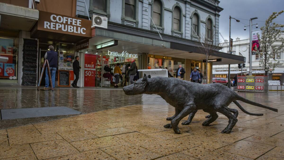 HAZARD: A Perth woman tripped over the bronze Tasmanian tiger sculptures in the mall. Picture: Paul Scambler