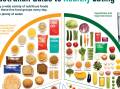 The Australian Guide to Healthy Eating gives equal weight to carbohydrates and vegetables.