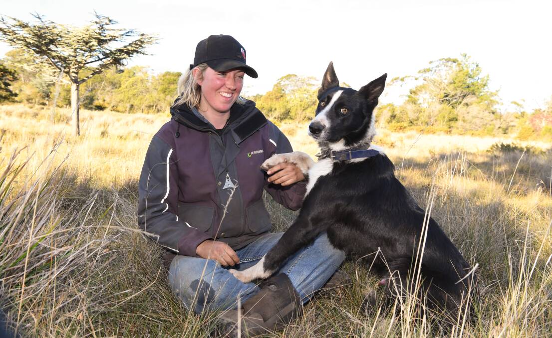 PARTNERS: St Leonards farmer Pip Flower with her dog Hurricane. The pair are finalists in the national Cobber Challenge, which will crown Australia's hardest-working sheepdog. Picture: Neil Richardson