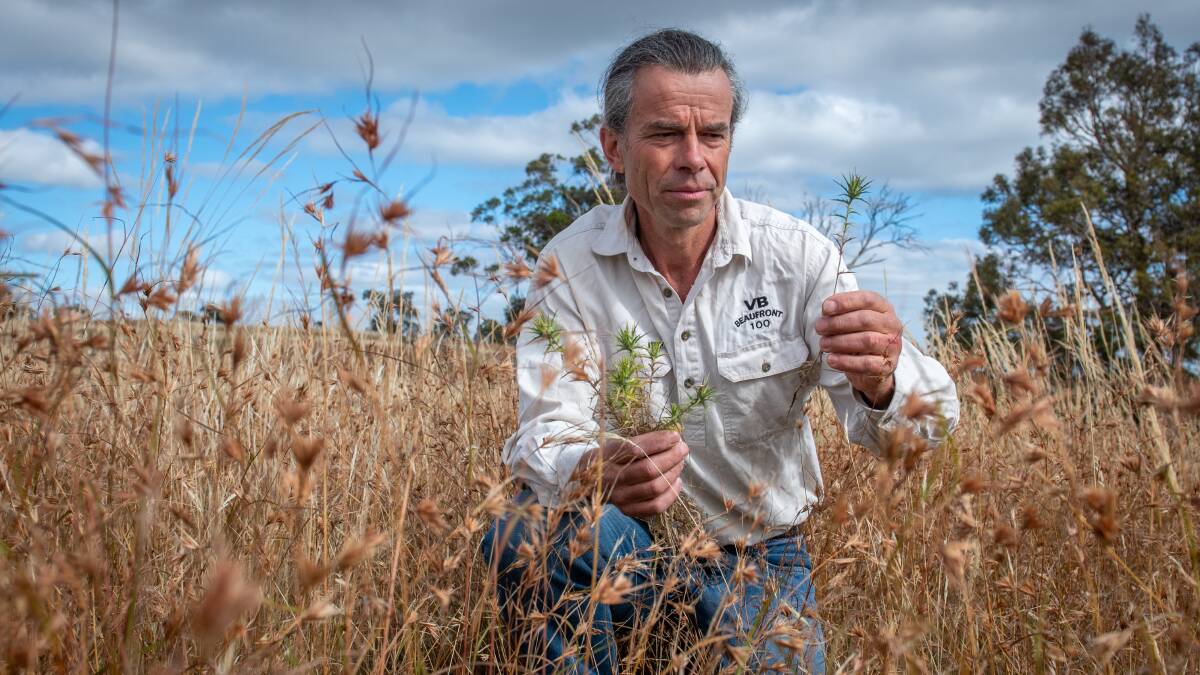 Farmer fighting for the environment against weeds
