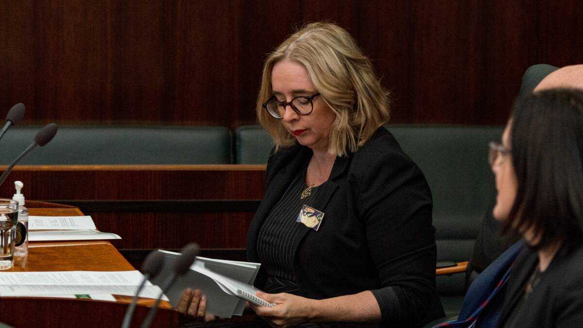 Labor Member Michelle O'Byrne, who was Environment Minister in 2009.