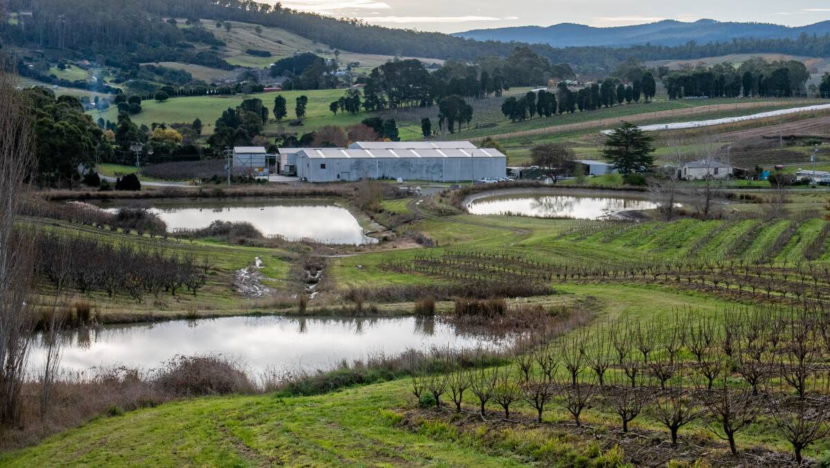 NO DEAL: Tamar farmers have not reached the threshold for water sales to make the proposed Tamar Valley Irrigation Scheme viable. Picture: Paul Scambler