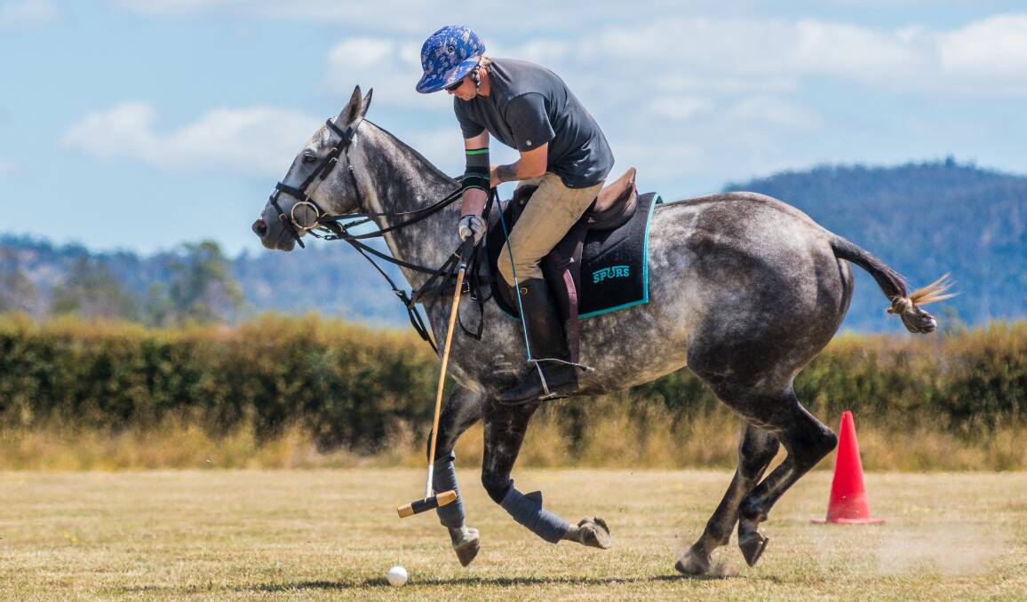 PARTNERS: Wickford Polo breaker and trainer Aiden Nunn takes Spitfire through his paces at the Longford property. Pictures: Phillip Biggs