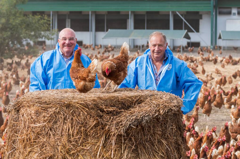 CRACKING DEMAND: Pure Foods Eggs managing director Danny Jones and farm manager John Sattler at the Longford facility, which will soon expand with two new chicken sheds. Picture: Phillip Biggs