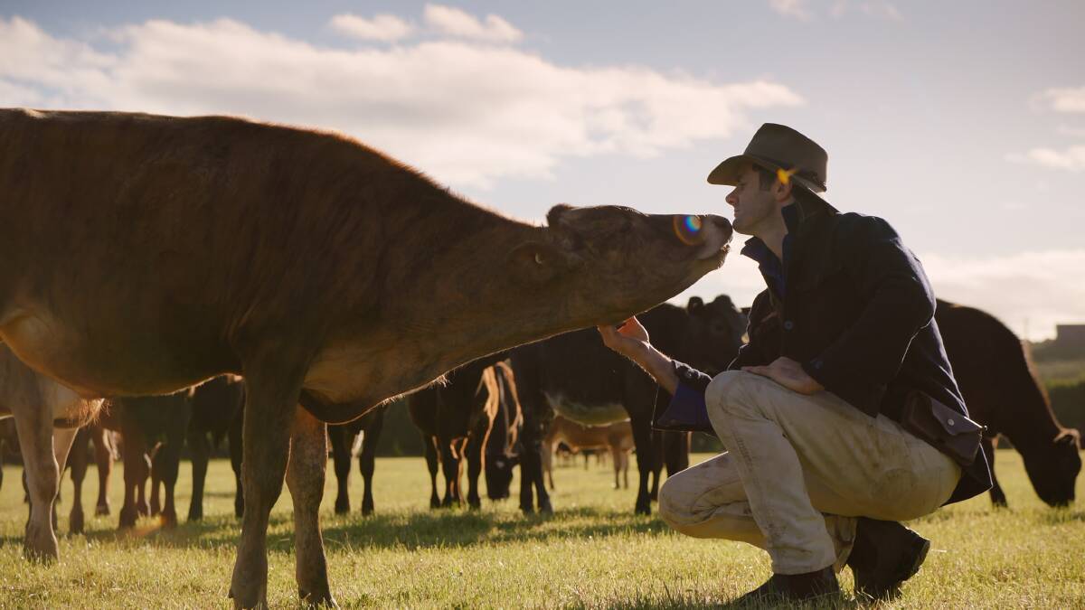 NEW PRODUCT: Sam Tretheway on the farm near Deloraine for the Tas Ag Co commercial, which advertises its new climate-friendly beef products. Picture: Wildman Films