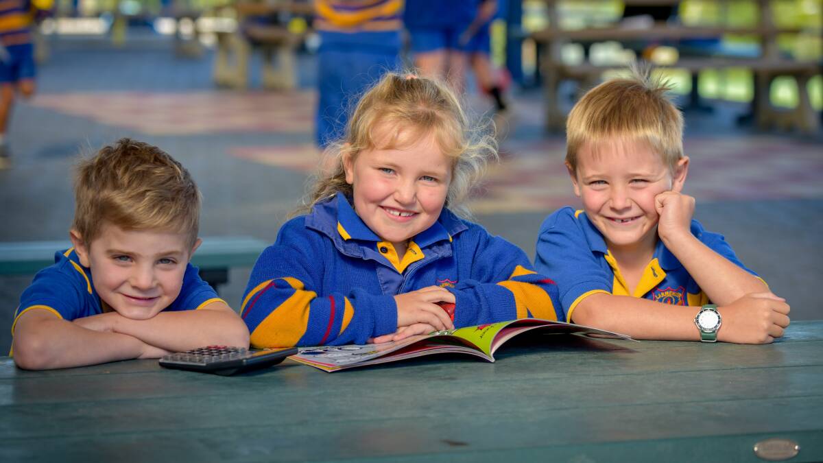EDUCATION OPTIONS: Lamenier Catholic Primary School 'gifted' students Rupert Miedecke, 5, Zara Child, 6, and Arthur Miedecke, 6. Pictures: Paul Scambler 