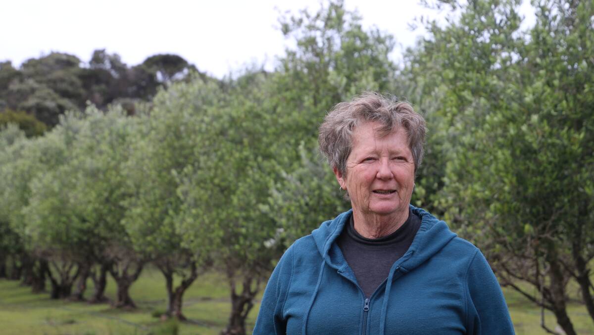 CHALLENGE REWARDED: Jude Cazaly of Flinders Island Olives has won an international award, despite nearly not picking this year due to COVID-19 restricting harvest helpers. Picture: supplied.