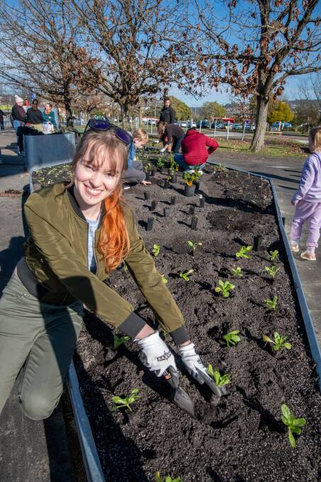GROW: Emma Ollington, of Launceston,first-year UTAS student, helps out at the Plant and Play Day at Inveresk. Pictures: Paul Scambler 