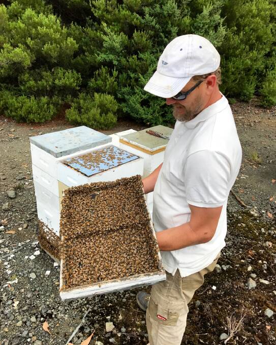 Tristan Campbell with one of the beehives.