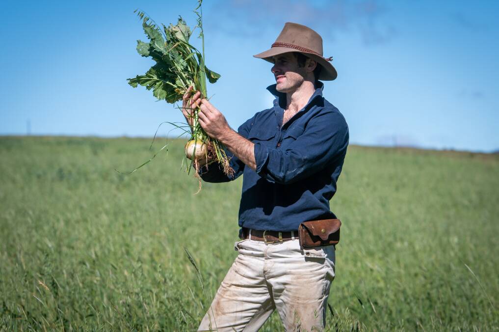 Sam Trethewey with a turnip planted as part of Tas Ag Co's "salad bowl" approach to forage crops for the cattle. Between 17 and 25 species are planted in each paddock.