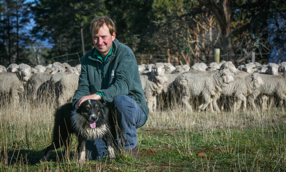 HANGING IN: East Coast farmer Henry Dunbabin has seen many changes to his farm as a result of climate change. The East Coast has also experienced drought this year. Picture: Paul Scambler