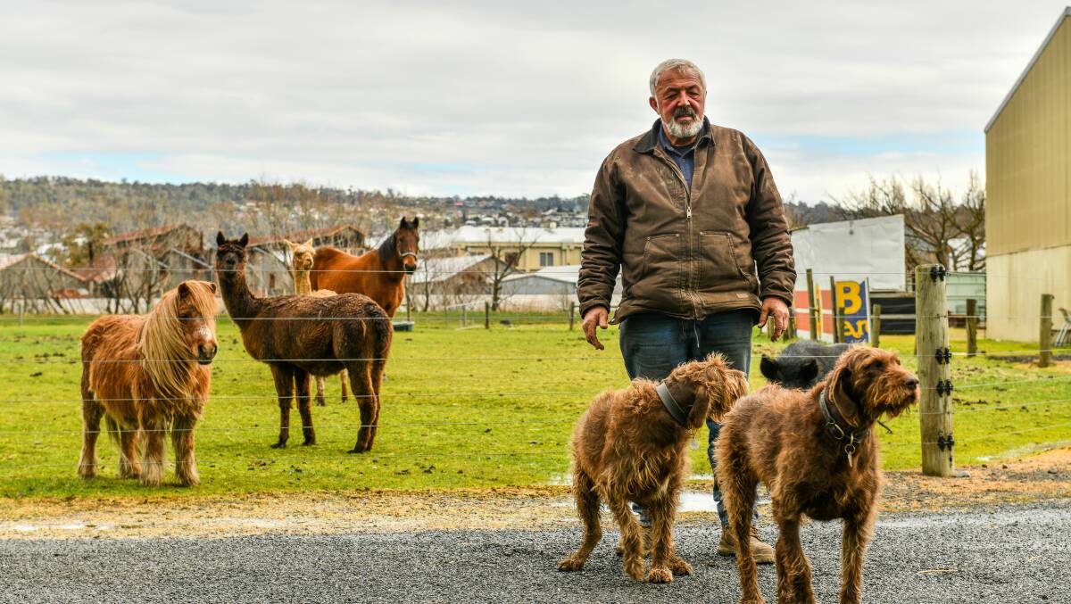 DEAL BROKEN: Glebe Farm owner Joe Pintarich with his dogs, Piccolo and Merlot near the Glebe Farm heliport. Picture: Scott Gelston