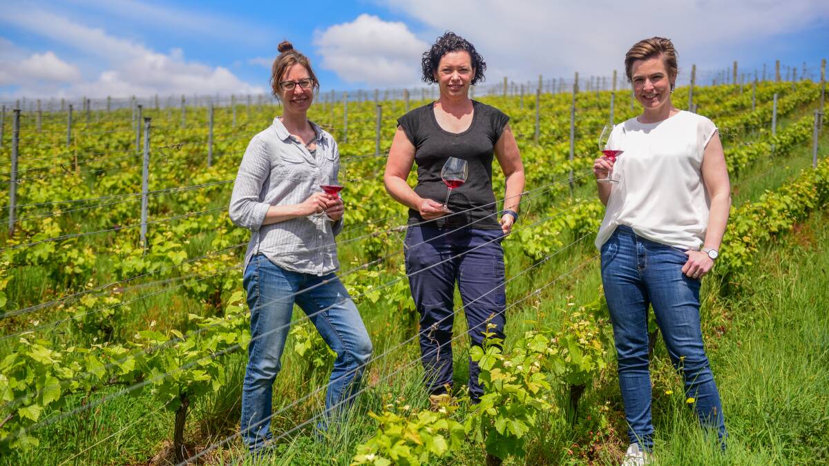 CHEERS TO INNOVATION: Wines of Tasmania founder Katrina Myburgh with Sinapius owner Linda Morice and Delamere owner Fran Austin. Pictures: Paul Scambler